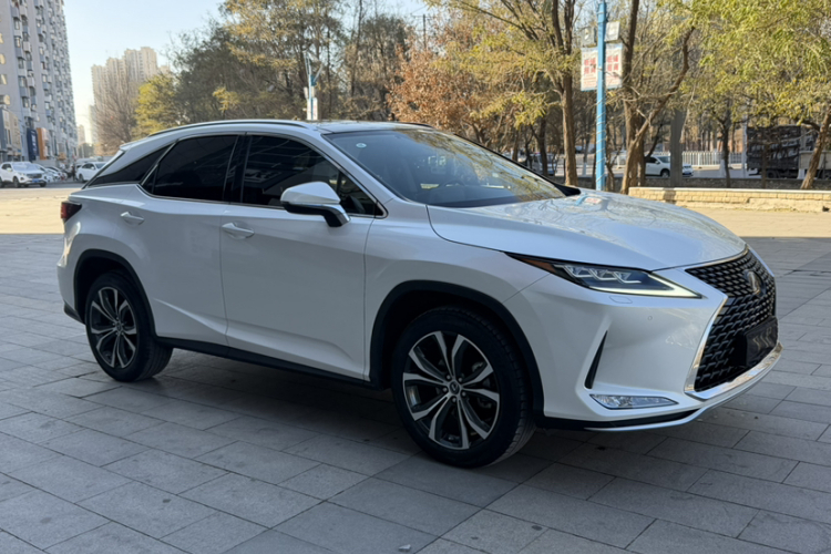 雷克萨斯RX 2020款 300 四驱典雅版 国VI车身外观6003