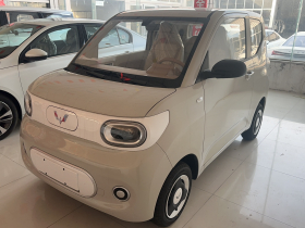 五菱汽车 宏光MINIEV 2024款 第三代 215km 青春版