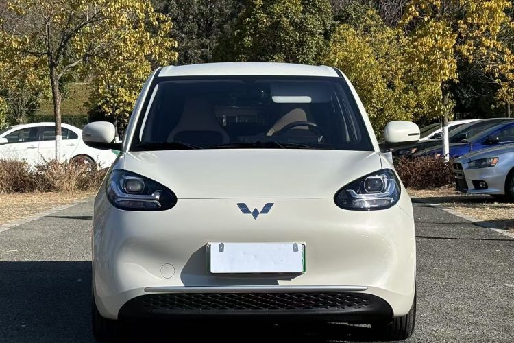 五菱汽车 五菱缤果 2023款 333km 快享款车身外观6002