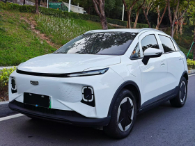 吉利几何E萤火虫 2024款 301km 星光