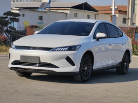 比亚迪 秦PLUS 2025款 EV 智驾版 510KM进取型