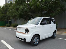 吉利银河 2024款 熊猫mini 200km 耐力熊