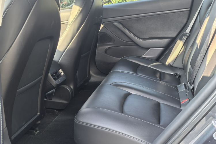 特斯拉 Model 3(进口) 2019款 长续航全轮驱动版中控内饰7002