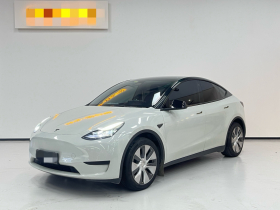 特斯拉 Model Y 2022款 后轮驱动版
