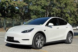 特斯拉 Model Y 2021款 长续航全轮驱动版 3D7