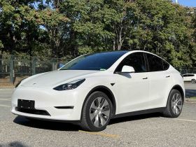 特斯拉 Model Y 2021款 长续航全轮驱动版 3D7