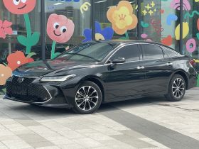 丰田 亚洲龙 2023款 2.5L 豪华版