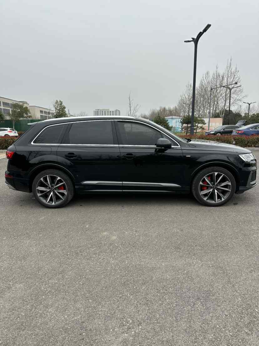 奥迪Q7 2023款 55 TFSI quattro S line运动型(3)