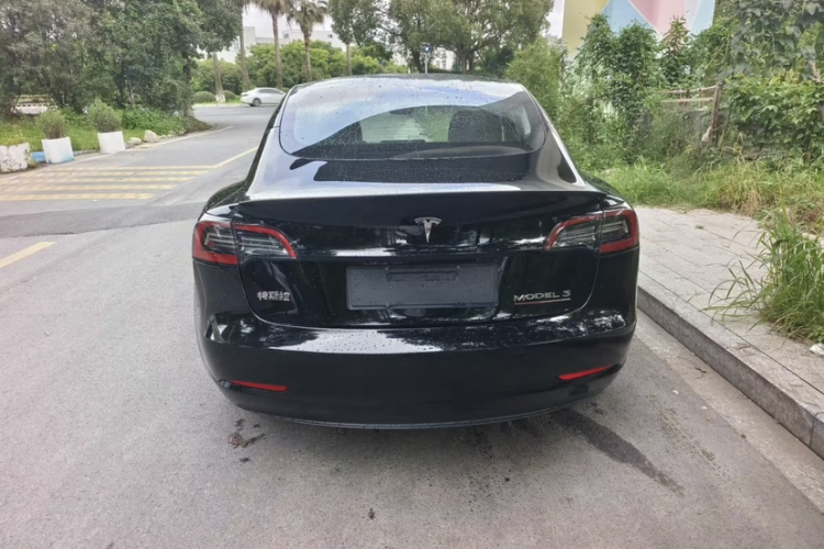 特斯拉 Model 3 2021款 Performance高性能全轮驱动版车身外观6003