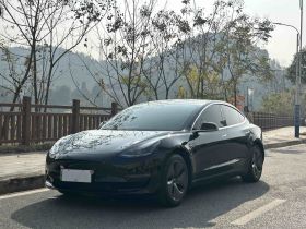 特斯拉 Model 3 2020款 改款 长续航后轮驱动版