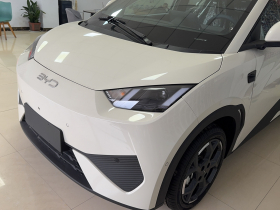 比亚迪 海鸥 2025款 智驾版 305km 自由版