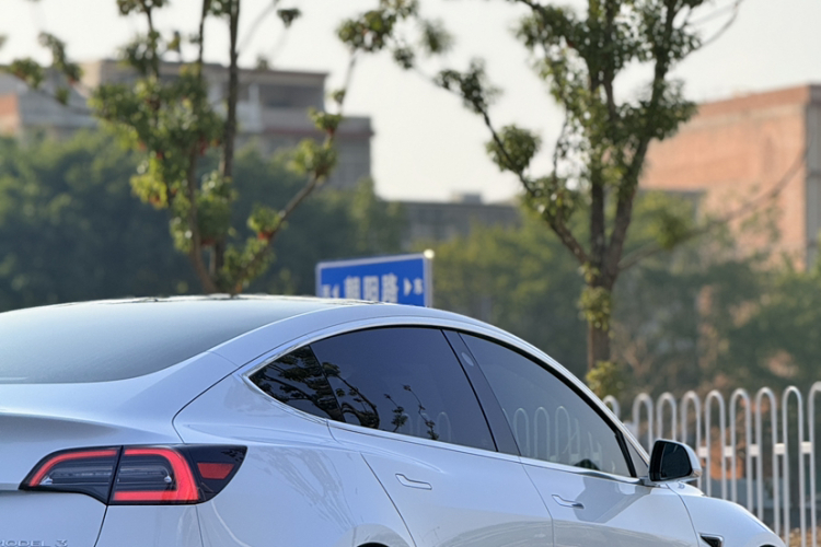 特斯拉 Model 3 2019款 标准续航后驱升级版车身外观6009