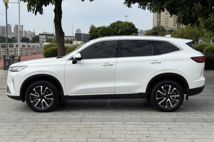 哈弗H6 2021款 第三代 1.5T 自动两驱Max车身外观6004