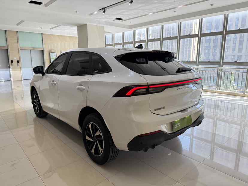 东风风行 风行雷霆 2024款 410 实力版Plus(5)