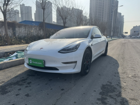 特斯拉 Model 3 2020款 改款 长续航后轮驱动版