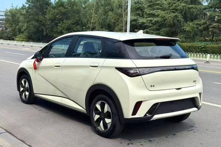 比亚迪 海豚 2025款 智驾版 420km 自由版车身外观6002