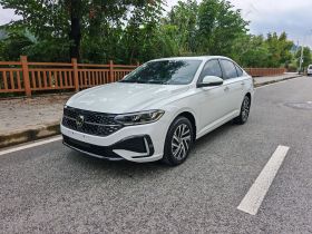 大众 朗逸 2024款 1.5L 自动星空五百万版