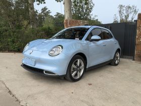 欧拉好猫 2021款 400km标准续航 雅典娜版 三元锂