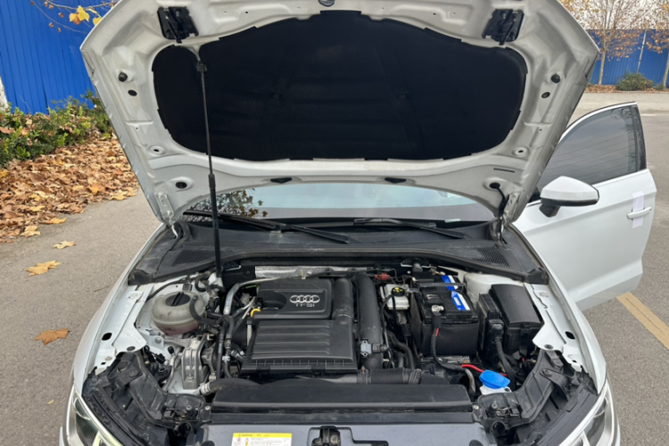 奥迪A3 2018款 30周年年型 Limousine 35 TFSI 时尚型局部细节24