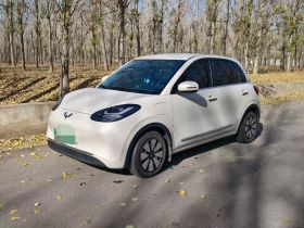 五菱汽车 五菱缤果 2024款 333km 悦享款