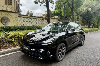 智己汽车 智己LS6 2023款 Max 标准版