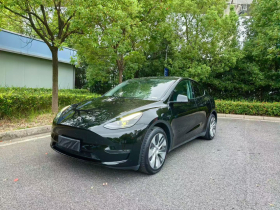 特斯拉 Model Y 2022款 后轮驱动版