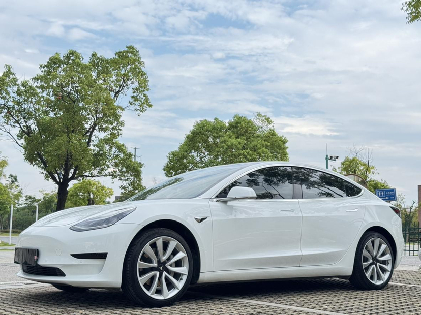 特斯拉 Model 3 2019款 标准续航后驱升级版