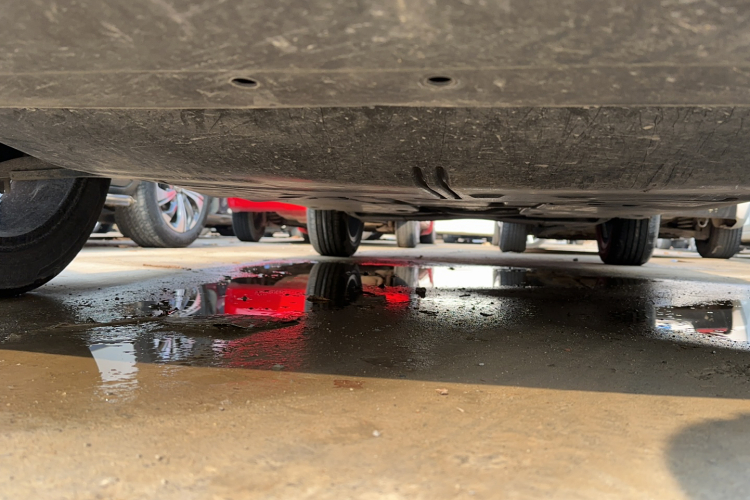 大众 探影 2020款 1.5L 自动 悦局部细节9003