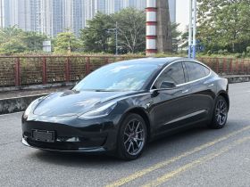 特斯拉 Model 3 2020款 标准续航后驱升级版