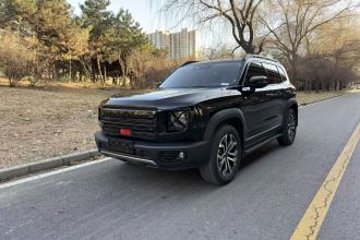 哈弗大狗 2024款 1.5T DCT边牧版