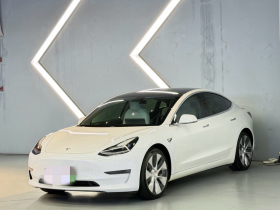 特斯拉 Model 3(进口) 2019款 Performance高性能全轮驱动版