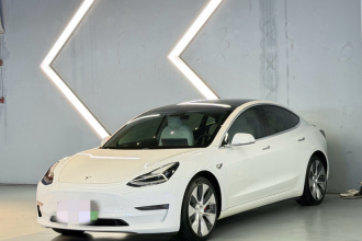 特斯拉 Model 3(进口) 2019款 Performance高性能全轮驱动版