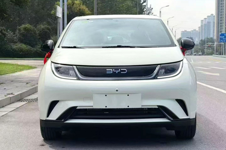 比亚迪 海豚 2025款 智驾版 420km 自由版车身外观6004