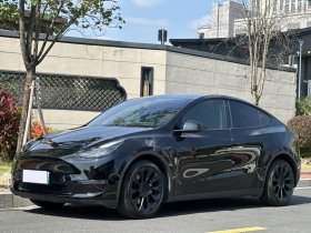 特斯拉 Model Y 2021款 标准续航后驱版