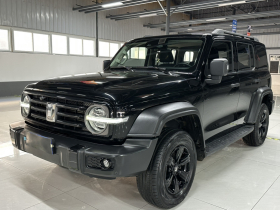 坦克300 2021款 越野版 2.0T 征服者