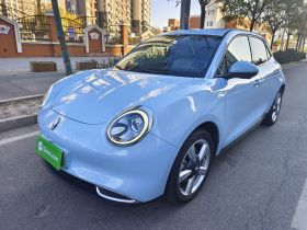 欧拉好猫 2022款 莫兰迪版 400km标准续航 尊贵型 三元锂