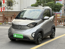 宝骏E100 2019款 250KM 智享版