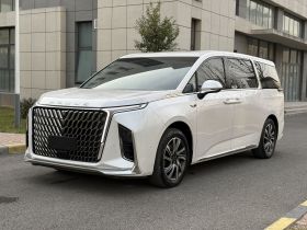 上汽大通MAXUS 大通G90 2022款 2.0T 星际旗舰版