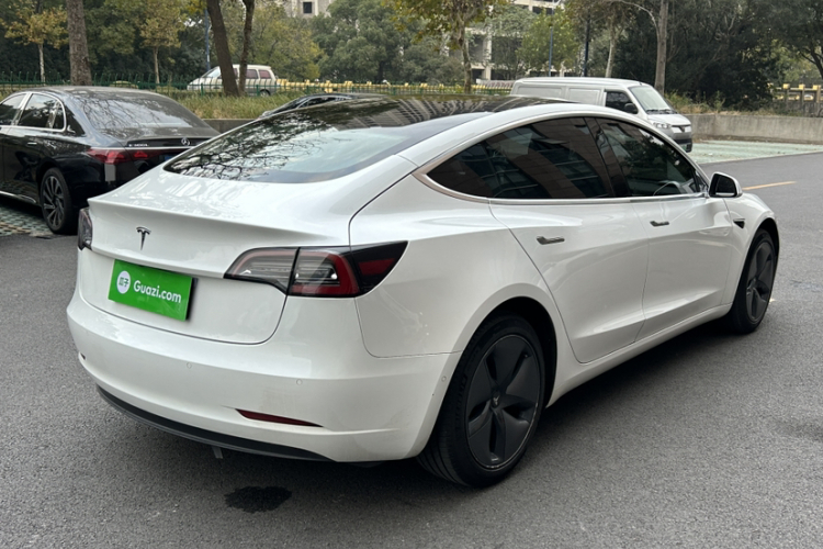 特斯拉 Model 3(进口) 2019款 标准续航后驱升级版(60度)车身外观6008