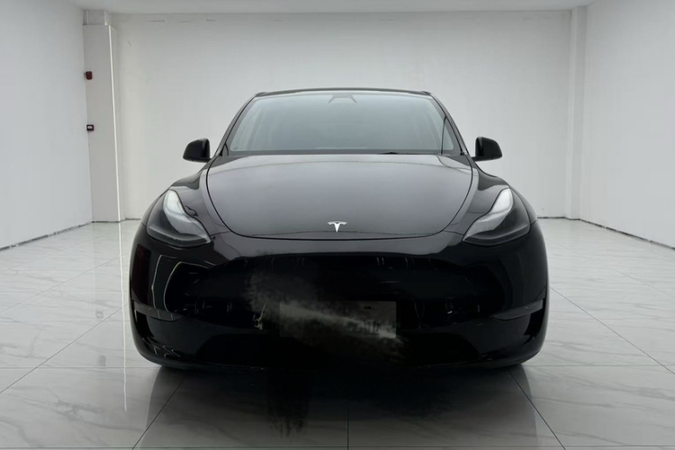 特斯拉 Model Y 2021款 标准续航后驱版车身外观6001