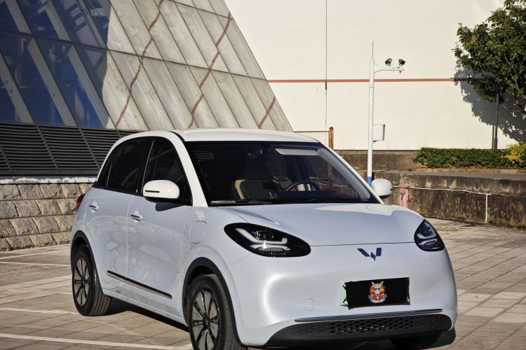 五菱汽车 五菱缤果 2024款 333km 悦享款车身外观6005