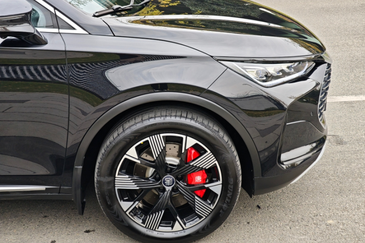 比亚迪 唐新能源 2024款 DM-p 荣耀版 215KM 四驱尊享型车身外观6007