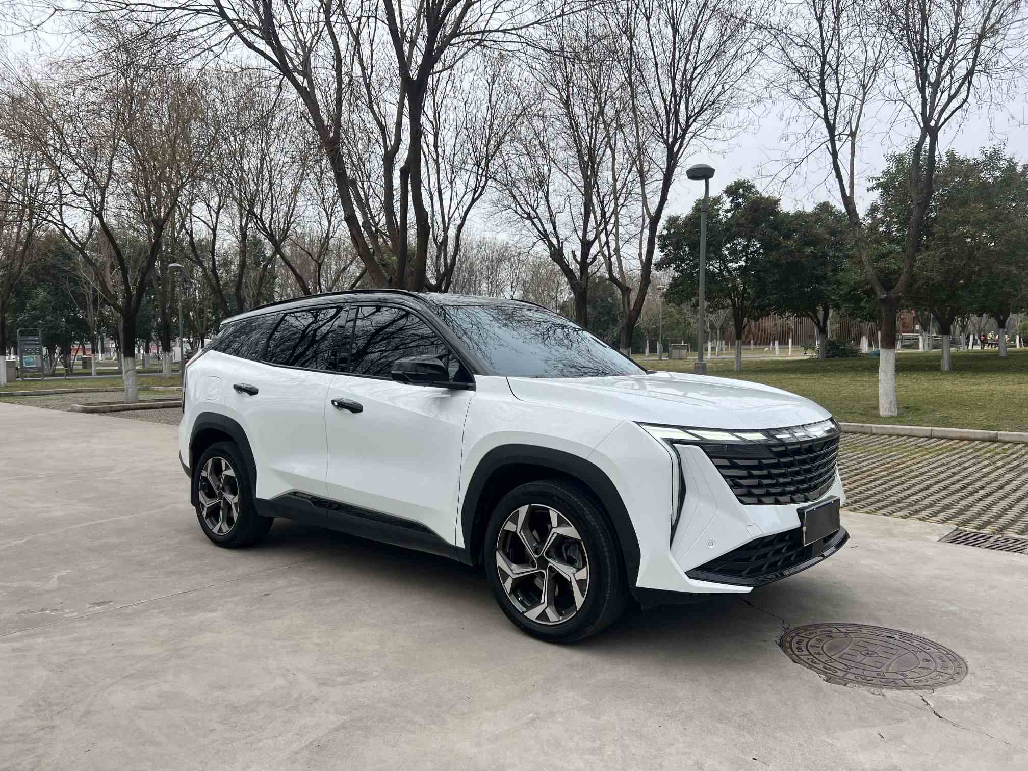 吉利汽车 博越L 2024款 1.5TD DCT尊贵版(3)