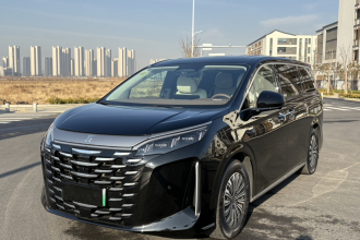 比亚迪 夏 2025款 DM-i 1.5T 180km 超越型