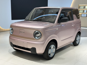 吉利银河 2024款 熊猫mini 200km 耐力熊