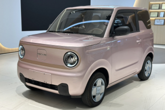 吉利银河 2024款 熊猫mini 200km 耐力熊