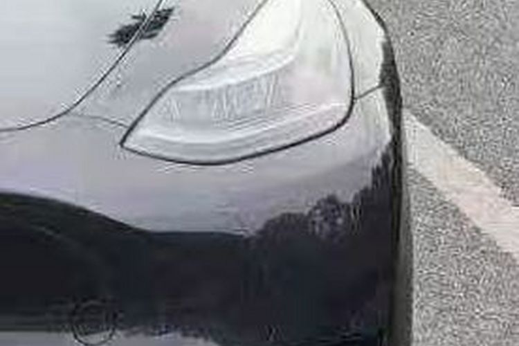 特斯拉 Model Y 2024款 后轮驱动版局部细节36