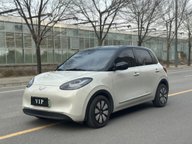 五菱汽车 五菱缤果 2023款 203km 轻享款