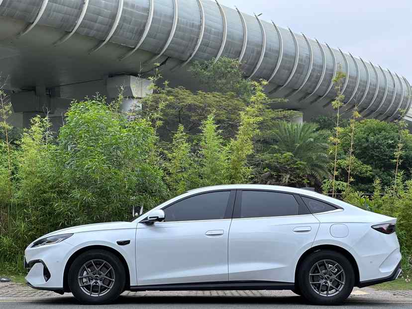 比亚迪 海豹06新能源 2025款 DM-i 智驾版 80KM豪华型(4)