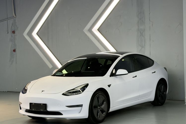 特斯拉 Model 3(进口) 2019款 长续航全轮驱动版车身外观1